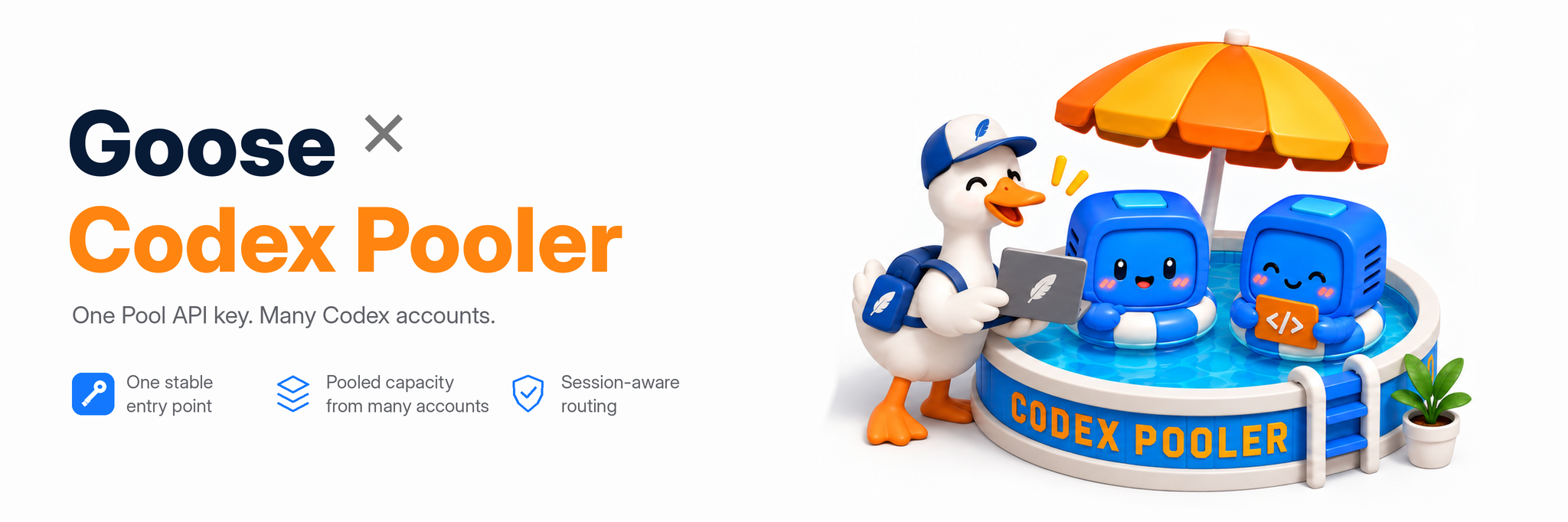 Codex Pooler Goose integration